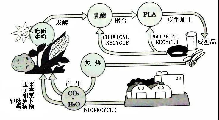 可生物降解環(huán)保塑料可以回收再利用嗎？(圖4)
